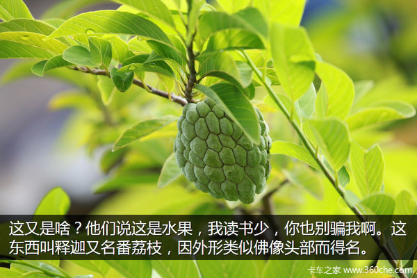 �μǣ��Ӵ�����������&nbsp;��ԭһ·���¶�