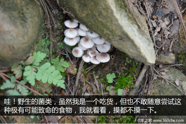 �μǣ��Ӵ�����������&nbsp;��ԭһ·���¶�