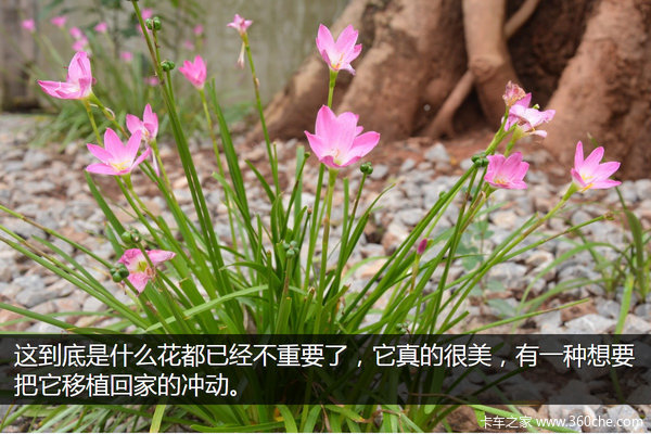 �μǣ��Ӵ�����������&nbsp;��ԭһ·���¶�