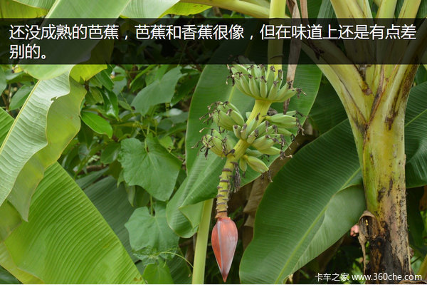 �μǣ��Ӵ�����������&nbsp;��ԭһ·���¶�