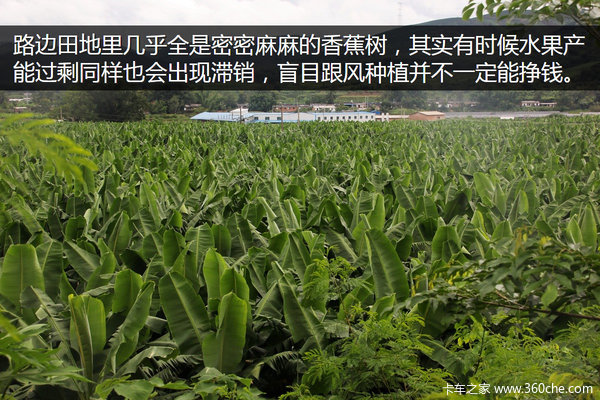 �μǣ��Ӵ�����������&nbsp;��ԭһ·���¶�