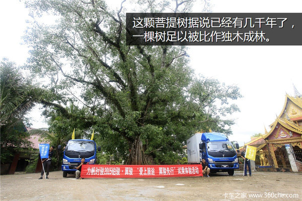 �μǣ��Ӵ�����������&nbsp;��ԭһ·���¶�