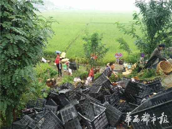 ��������������෭20���汻��������