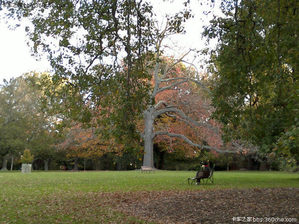 û��·��������ɶ�о������ڰ��޿�����