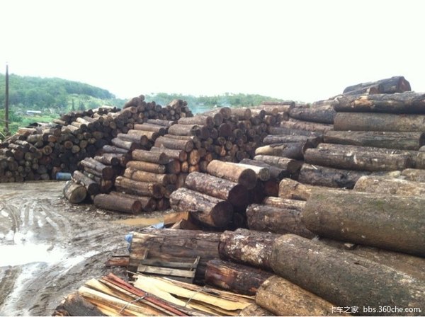 '��ͷǿ'������Ӣ�ۣ����߹��ĵ��幫·