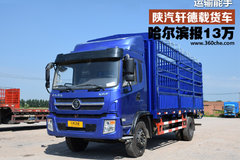 ���������ɿ� �������µ��̹�����13��