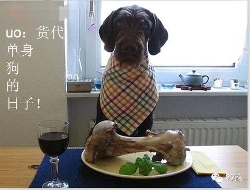 �������ذ��ɻ���������ȥ�м仯������