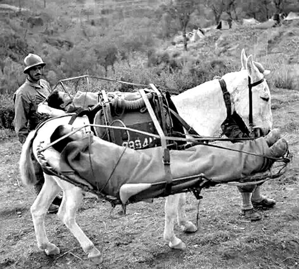 ս�����ɵ�����֮��&nbsp;�Ȼ�����ǰ������