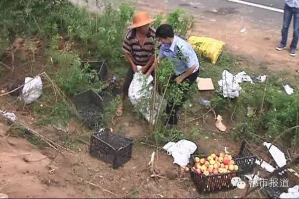 ���ִ�������ȥ����&nbsp;׷�ٺ���ƻ���¼�