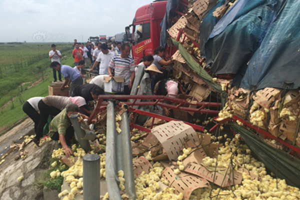 ��������֪������η&nbsp;����������άȨ