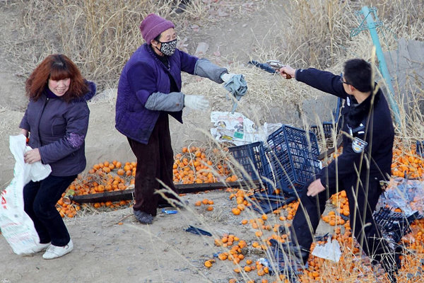 ��������֪������η&nbsp;����������άȨ