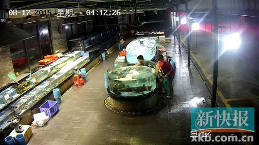 ����Ҳ������&nbsp;����Ƥ����ҹ���Ƶ꺣��