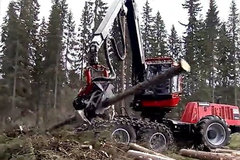 ������ɱ��ͷǿ ���¹���������������