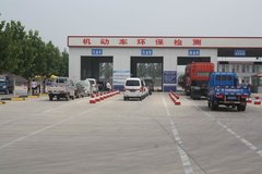 ֻ�д�������� �����ŷ�����è���