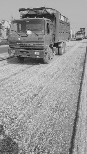 �����Ǿ�û��&nbsp;�������Ƴ�����·������