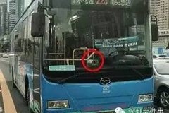 ����˾��ȫ������ ���������ƶ����