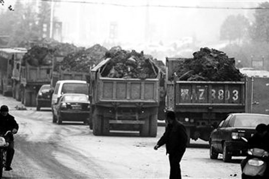 Ϊ�ο�����������&nbsp;ԭ�ǲм�����֤��ʻ