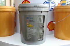 ��Ȼ������������ ���ƽ��ص�Ͷ�����