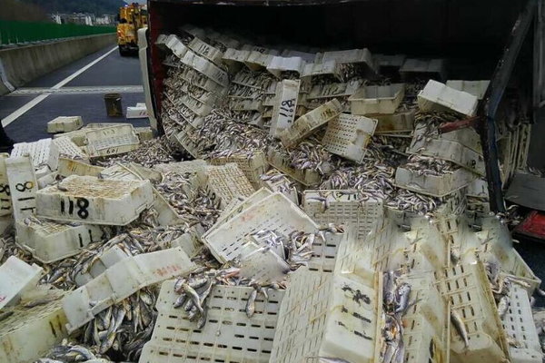 ���Ļ��ﱻ����&nbsp;����˾������ȥҽԺ