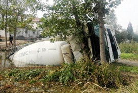 杨树拦住侧翻搅拌车