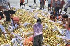 �㲻�����Ǹ�ɵ�ӣ���Щ��������Ķ���