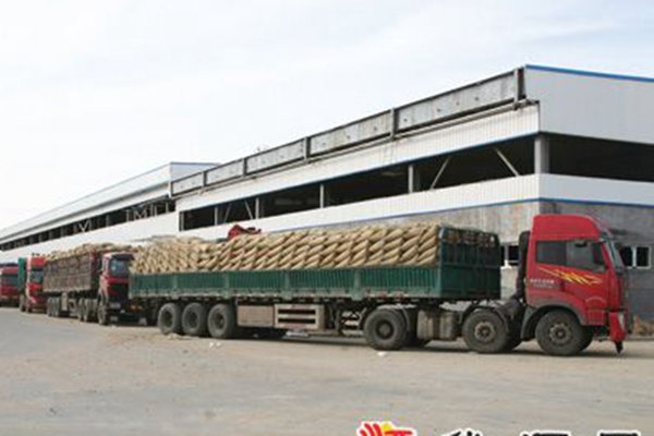 ȫ�̿���ɫͨ��&nbsp;&nbsp;���н���Ϊ����������