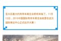 当武汉车展遇上双十一 商用车圈嗨起来