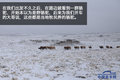 锐骐征服沙漠珠峰 全程记录雪景美如画