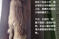 锐骐征服沙漠珠峰 全程记录雪景美如画