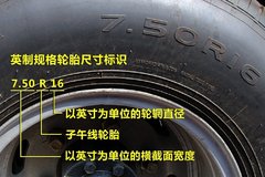 ���׺��Ե�ϸ�� ע����̥������ͺ�