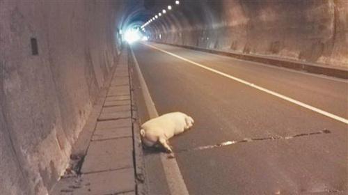 ����3000Ԫ'��ʦ��'&nbsp;�Ҵӻ�����������