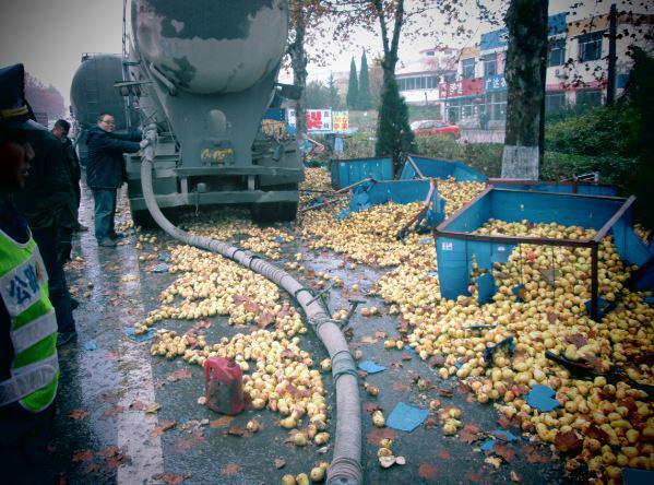 ����·��ʪ���ǻ�&nbsp;G204������׷β�¹�