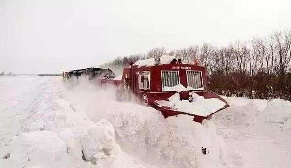 ��������������&nbsp;������������γ�ѩ��