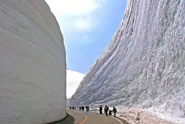 ��������������&nbsp;������������γ�ѩ��