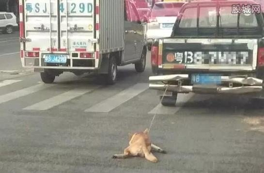 С������β����&nbsp;Ƥ��˾����Ѫ̫����