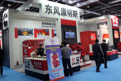 2015�����˸�չ�����翵��˹13��������