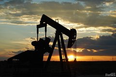 �����ͼ۵���40��Ԫ/Ͱ ��ȥһ���1/4