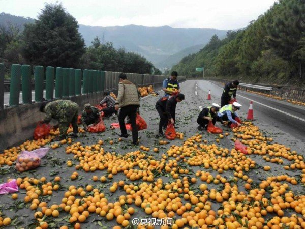 货车侧翻3吨橙子散落 交警群众一起救援