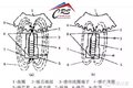 你还在检查油路？电控共轨常见故障分析