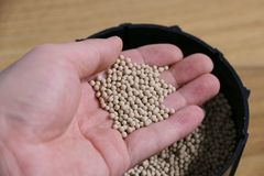 �ܾ�ɲ��ʧ�� �������ͼ����޸����