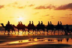 �����µĻ��ˣ�һ��һ·�ܴ�������ʲô