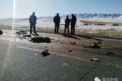 ����ײ�����ֳ������ˣ�˾���������Ǯ