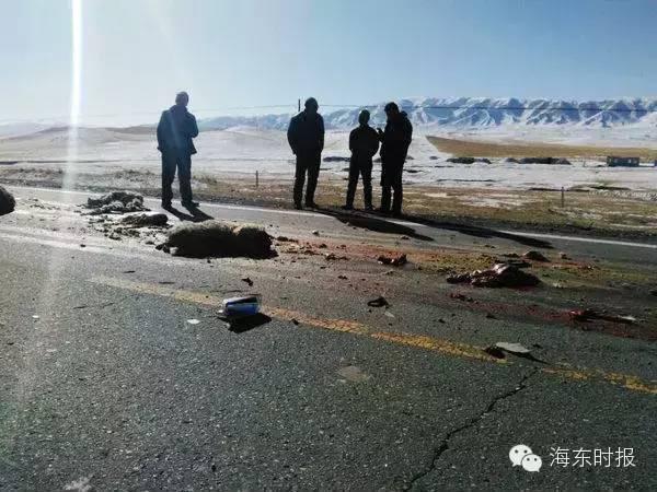 ����ײ�����ֳ������ˣ�˾���������Ǯ