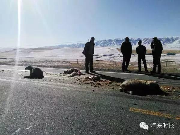 ����ײ�����ֳ������ˣ�˾���������Ǯ