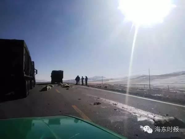 ����ײ�����ֳ������ˣ�˾���������Ǯ