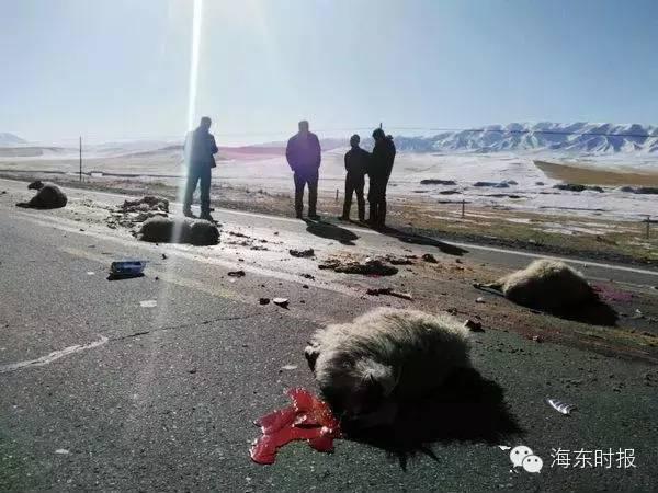 ����ײ�����ֳ������ˣ�˾���������Ǯ