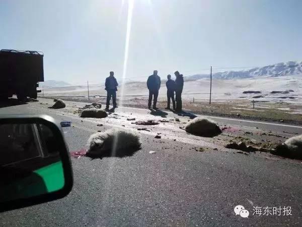 ����ײ�����ֳ������ˣ�˾���������Ǯ