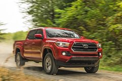 2015������ʲô���ֵ Ƥ����������