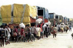 �й������ɱ������Ǹ߻��ǵͣ������ڴ�