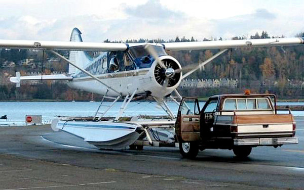 ��Ƥ��̫����&nbsp;ʣ������ӻ�Ҫ���ɻ���!